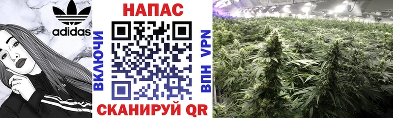 Все наркотики Перевоз APVP Галлюциногенные грибы Метадон Каннабис