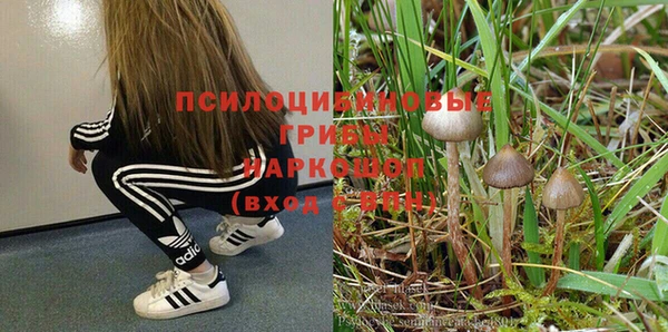 гидропоника Алзамай
