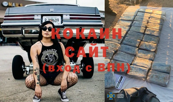 гидропоника Алзамай