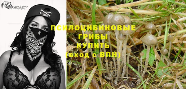 ГАЛЛЮЦИНОГЕННЫЕ ГРИБЫ Алексин