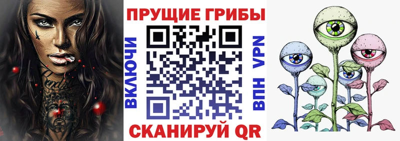 Псилоцибиновые грибы ЛСД  цены   Перевоз 