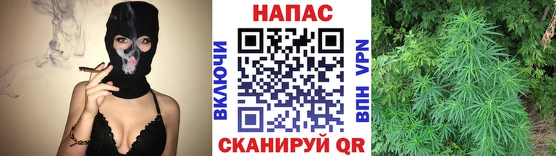 Конопля OG Kush  купить наркотики сайты  Перевоз 